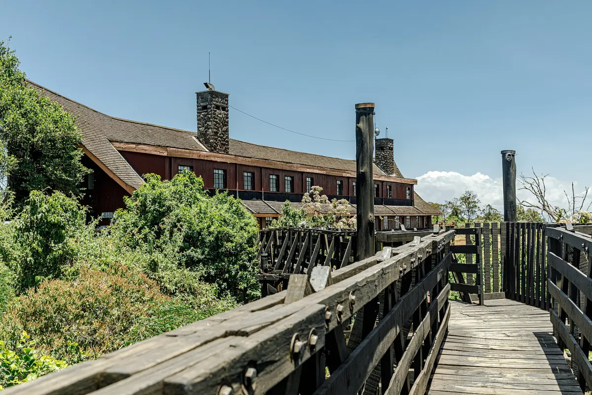 Dark timber walkway leading to a long wooden lodge building above the forest
