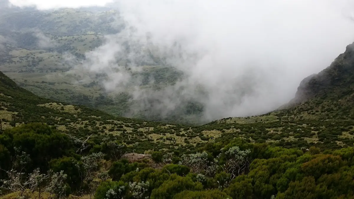 Low cloud and mist filling a wide Aberdare valley with shrubs
