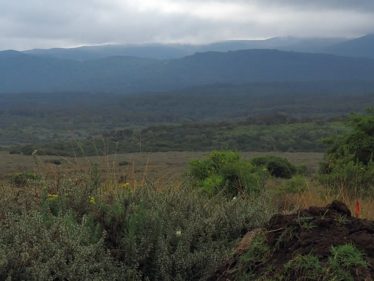 Wide moorland and shrub slopes of the Aberdares under an overcast sky