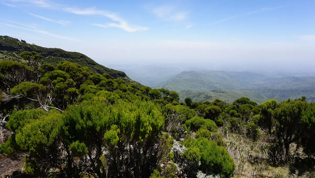 Lage groene struiken op een bergkam met het nevelige Aberdaregebergte op de achtergrond onder een blauwe hemel