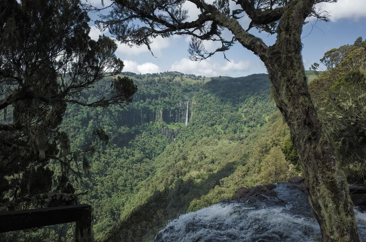 View from above over a forested gorge with a waterfall in the distance