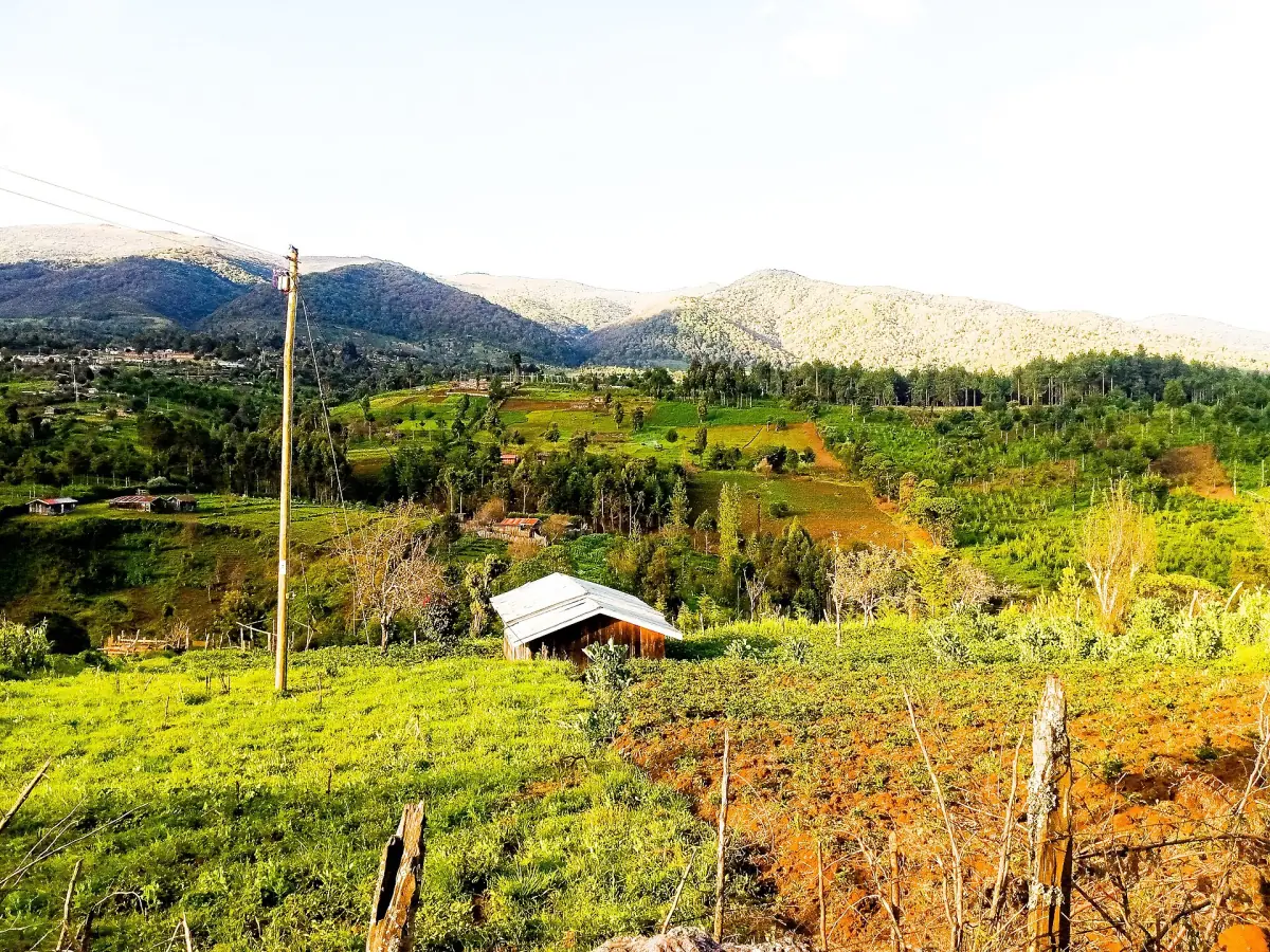 Green farmland with a house and the Aberdare range rising behind