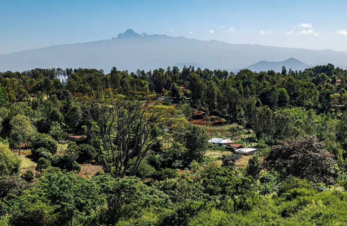Groene, beboste heuvels bij Nyeri met Mount Kenya aan de horizon