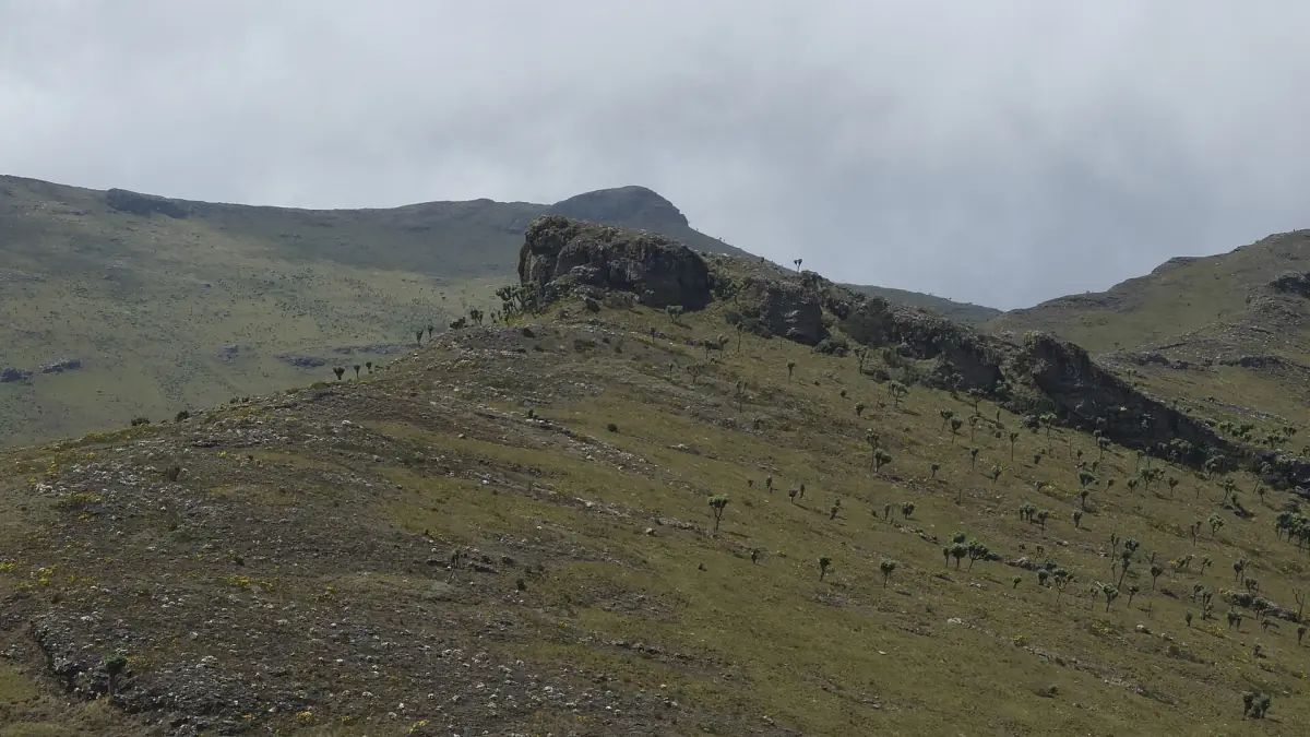 Rocky ridge of Ol Donyo Lesatima rising from grassy slopes under cloud