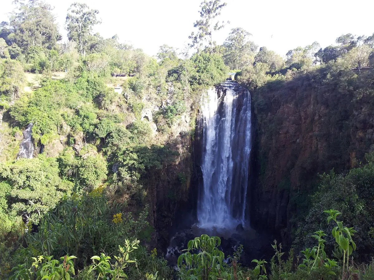 Thomson Falls plunging over a dark cliff into a green gorge